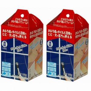 日本ミラコン産業 - ミラコンレジン２ - 透明・１８０ｇ 2個セット