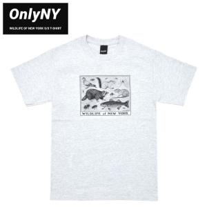 ONLY NY オンリーニューヨーク Tシャツ WILDLIFE OF NEW YORK S/S T-SHIRT 半袖 カットソー トップス アッシュ 単品購入の場合はネコポス便発送｜buddy-stl