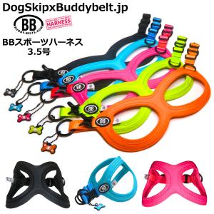 バディーベルト BBスポーツハーネス 3.5号 小型犬 ペット BUDDYBELT バディベルト 犬用 胴輪 リングハーネス メガネハーネス ボディ