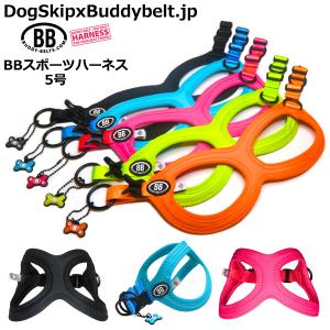 バディーベルト ハーネス 2.5号 ロビンズエッグブルー スワロフスキー
