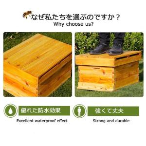 巣箱 養蜂箱養蜂器具蜂蜜蜂の巣箱 ミツバチ セ...の詳細画像5