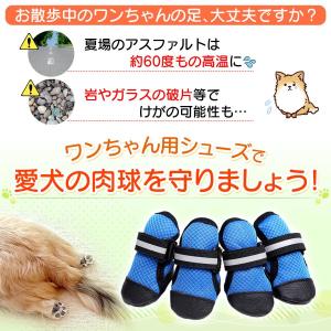 犬 靴 犬の靴 ドッグシューズ 散歩用 犬用靴...の詳細画像2