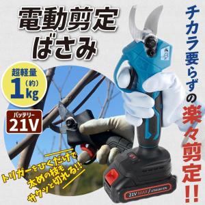 【ディスプレイ搭載・最新改良モデル】 電動剪定...の詳細画像1