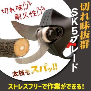 【ディスプレイ搭載・最新改良モデル】 電動剪定...の詳細画像4