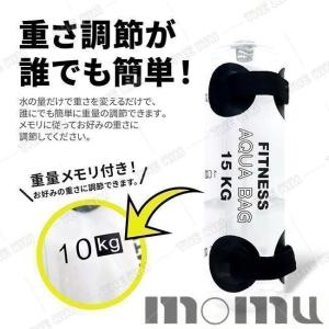 ウォーターバッグ 体幹トレーニング 器具 20...の詳細画像3