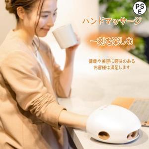 Notime NOTIME アイスダンディ 脱毛器 ノータイム notime