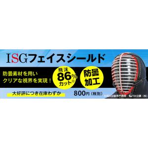 剣道用 防曇 ISGフェイスシールド 剣道防具 面 練習 稽古