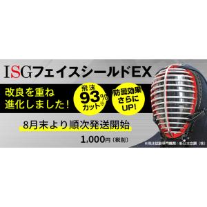 スポーツマスク フェイスシールド 稽古 剣道用 防曇