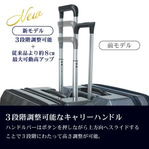 [世界一の静かさ]剣道防具キャリー「隼 -Ha...の詳細画像2