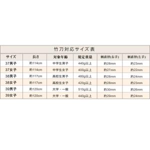 右手小判細身実戦型バイオテック竹刀『彪雅(ひょ...の詳細画像2