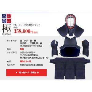 ハイブリッドレザー「極」ミシン刺防具セット 剣...の詳細画像1