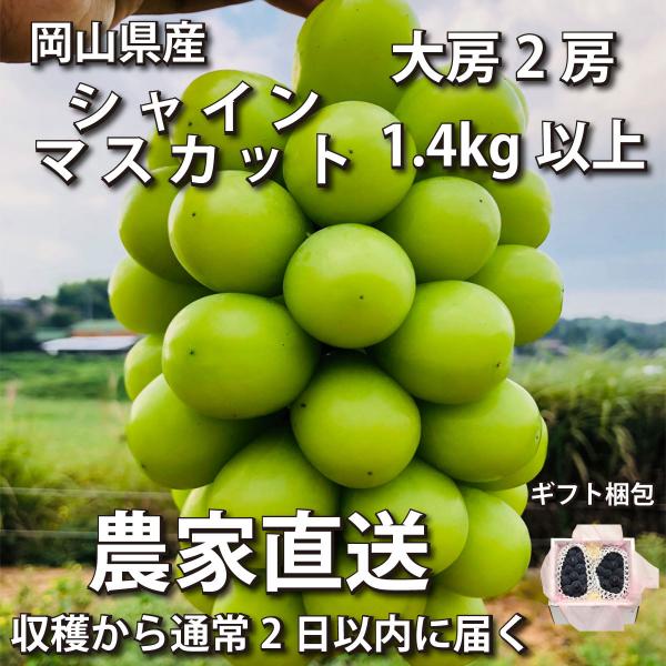 【ギフト梱包】シャインマスカット 1.4kg 大房2房【2023年産予約・発送9月末~】岡山県産ぶど...