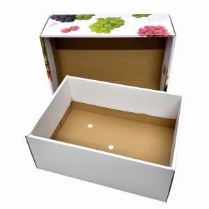 【3色 ブドウ C式】 10枚入 2kg用 ギ...の詳細画像2