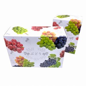 【3色 ブドウ C式】 10枚入 2kg用 ギ...の詳細画像4