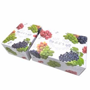 【3色 ブドウ C式】 10枚入 2kg用 ギ...の詳細画像5
