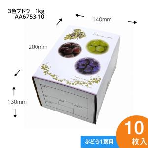 【3色 ブドウ 1ｋｇ】　10枚入 1kg用 ギフト箱 ブドウ・シャインマスカット化粧箱 詰め合わせ ぶどう箱 ぶどう専用箱　（AA6753-10）