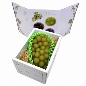 【3色 ブドウ 1kg】 10枚入 1kg用 ...の詳細画像2