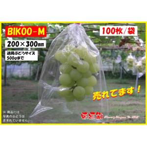 BIKOO-M 中 (200×300) サイズ...の詳細画像1