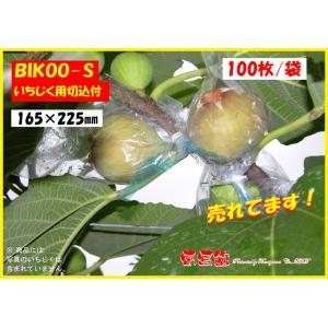 BIKOO-S いちじく 用 (165×225...の詳細画像1