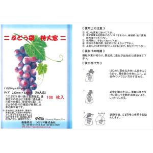 ぶどう袋 特大窓 セロハン 透明 窓付 100...の詳細画像5