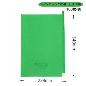 緑ぶどう 専用　シャイングリーン ブドウ袋 10号 超特大 238×340mm （100枚入）｜budoukan-shop2