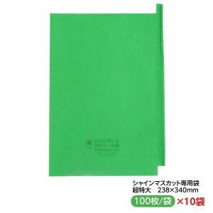 シャインマスカット用掛け袋 HグレープNo.20（217x315mm）段無【3000枚