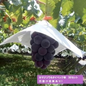 ぶどう用 葡萄傘 ロー引傘 300角 300×300mm 1ケース5000枚入 553206