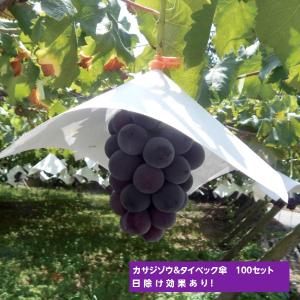1000枚 0.2×270角 葡萄傘 ターコイズポリ傘 553131 4582259927933 270