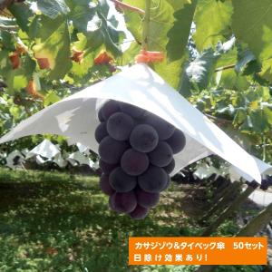 1000枚 ぶどう用 蝋引き傘 240角 553204 葡萄傘 ブドウ傘 ぶどう傘