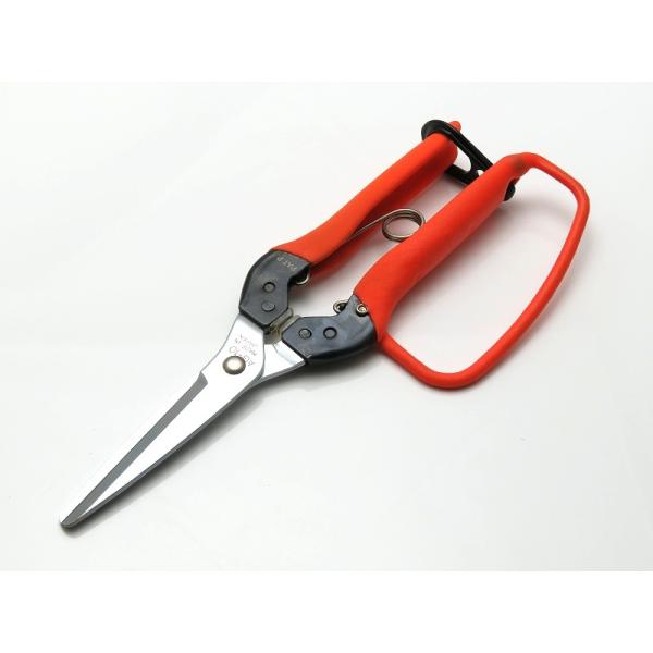 サボテン 青果はさみ ガード付 AG-10G