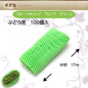 フルーツキャップ TG-17 グリーン 100...の詳細画像1