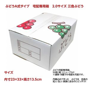 ヤマニパッケージ ぶどう箱 L-2518 フレッシュぶどうの贈り物 深口 3kg