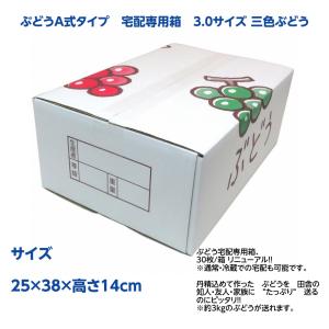ヤマニパッケージ ぶどう箱 L-2518 フレッシュぶどうの贈り物 深口 3kg