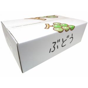 ぶどうA式タイプ　宅配専用箱　4.0サイズ（29.5×46×高さ14ｃｍ）　５枚　お試し用　※通常・冷蔵での宅配も可能です。｜budoukan-shop2