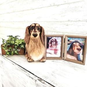 羊毛フエルト 犬 ダックスフンド 専門 写真を基で再現 愛犬 メモリアル 仏具 オーダーメイド