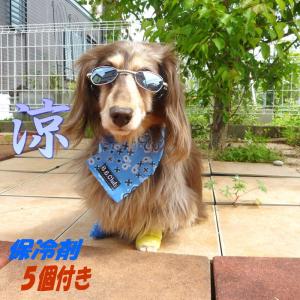 おすすめ 送料無料 犬 猫 保冷剤５個付き クールネック バンダナ柄ペイズリー 小型犬 中型犬 大型犬 アウトドア 散歩 ひえひえ 熱中症予防 冷却 日本製 暑さ対策