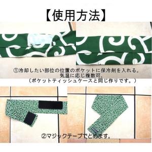 おすすめ 送料無料 犬 猫 保冷剤5個付き ク...の詳細画像4