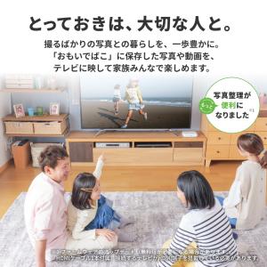 バッファロー BUFFALO おもいでばこ ス...の詳細画像1