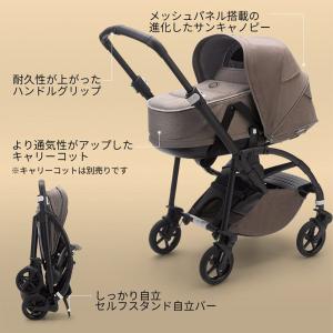 公式 バガブー ビー6 ミネラルコレクション ...の詳細画像2