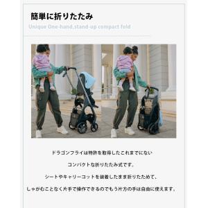 公式 バガブー ドラゴンフライ グラファイトフ...の詳細画像3