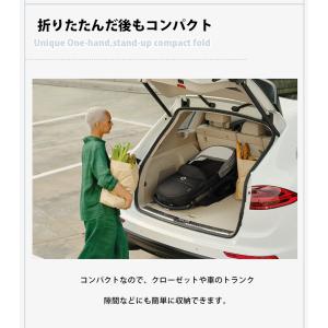 公式 バガブー ドラゴンフライ グラファイトフ...の詳細画像4