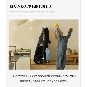 公式 バガブー ドラゴンフライ グラファイトフ...の詳細画像5