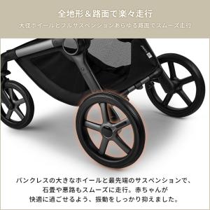 公式 バガブー フォックス 5 リニュー グラ...の詳細画像2