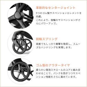 公式 バガブー フォックス 5 リニュー グラ...の詳細画像3