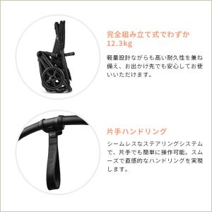 公式 バガブー フォックス 5 リニュー グラ...の詳細画像5