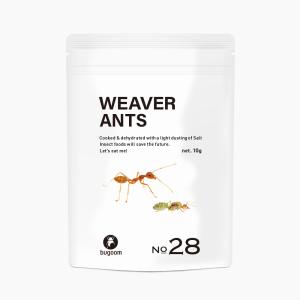 昆虫食 ツムギアリ 食用 安全 ゲテモノ 罰ゲーム ドッキリ 珍味 お菓子 スナック bugoomWEAVER ANTS