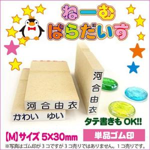 お名前スタンプ ねーむぱらだいす 単品ゴム印 M 5×30mm 学参フォント ゴム印 氏名印｜bugyo