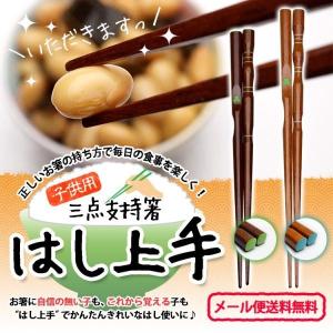 三点支持箸 はし上手 子供用 18cm/16.5cm 矯正箸 しつけ箸 躾箸 イシダ ポイント利用