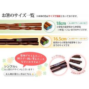 三点支持箸 はし上手 子供用 18cm/16....の詳細画像3
