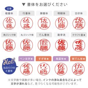 シャチハタ 印鑑 ネーム9 はんこ シヤチハタ...の詳細画像4